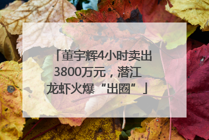 董宇辉4小时卖出3800万元，潜江龙虾火爆“出圈”