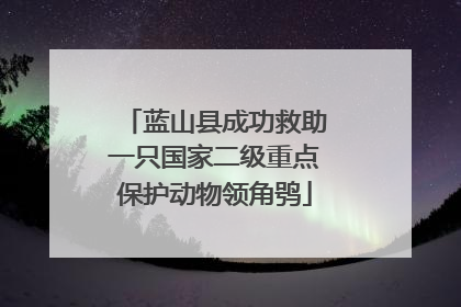 蓝山县成功救助一只国家二级重点保护动物领角鸮