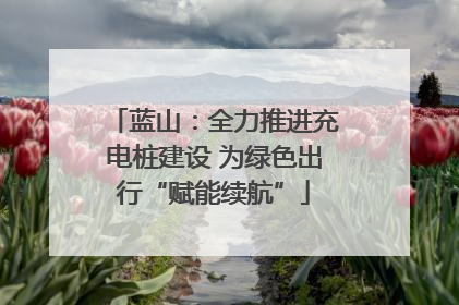 蓝山：全力推进充电桩建设 为绿色出行“赋能续航”