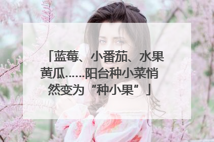 蓝莓、小番茄、水果黄瓜……阳台种小菜悄然变为“种小果”