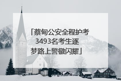 蔡甸公安全程护考 3493名考生逐梦路上警徽闪耀