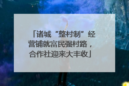 诸城“整村制”经营铺就富民强村路，合作社迎来大丰收