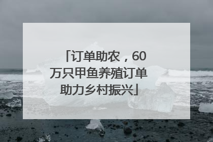 订单助农，60万只甲鱼养殖订单助力乡村振兴
