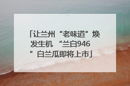 让兰州“老味道”焕发生机 “兰白946”白兰瓜即将上市