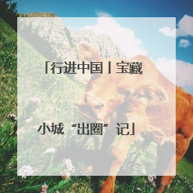 行进中国丨宝藏小城“出圈”记