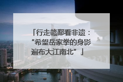 行走赣鄱看非遗：“希望岳家拳的身影遍布大江南北”