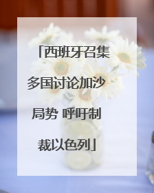 西班牙召集多国讨论加沙局势 呼吁制裁以色列