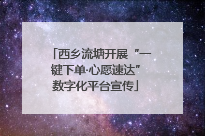西乡流塘开展“一键下单·心愿速达”数字化平台宣传