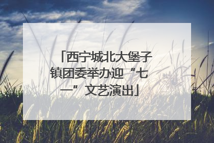 西宁城北大堡子镇团委举办迎“七一”文艺演出