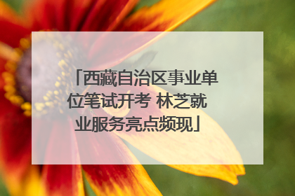 西藏自治区事业单位笔试开考 林芝就业服务亮点频现