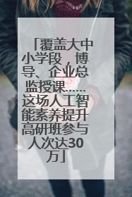 覆盖大中小学段，博导、企业总监授课……这场人工智能素养提升高研班参与人次达30万