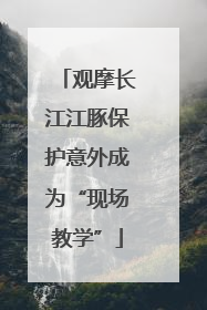 观摩长江江豚保护意外成为“现场教学”