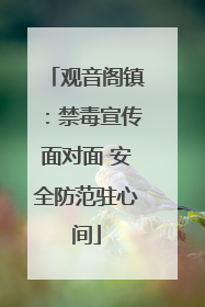 观音阁镇：禁毒宣传面对面 安全防范驻心间
