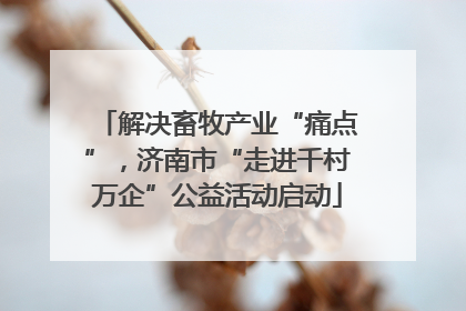 解决畜牧产业“痛点”，济南市“走进千村万企”公益活动启动