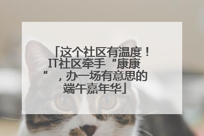 这个社区有温度！IT社区牵手“康康”，办一场有意思的端午嘉年华