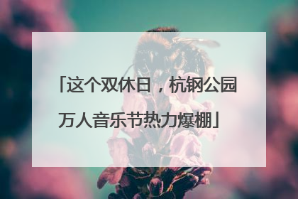 这个双休日，杭钢公园万人音乐节热力爆棚