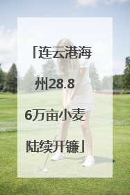 连云港海州28.86万亩小麦陆续开镰