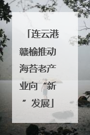 连云港赣榆推动海苔老产业向“新”发展