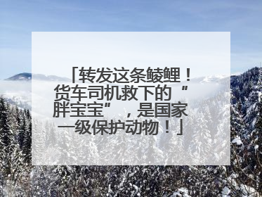转发这条鲮鲤！货车司机救下的“胖宝宝”，是国家一级保护动物！