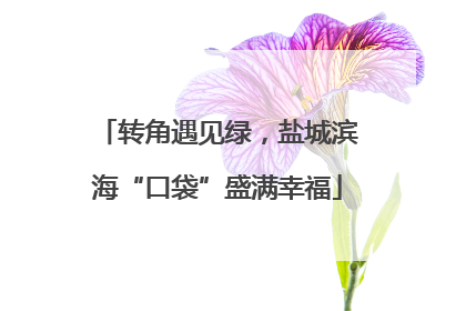 转角遇见绿，盐城滨海“口袋”盛满幸福