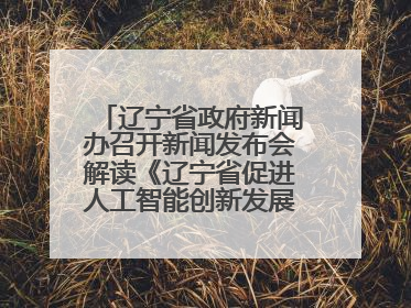 辽宁省政府新闻办召开新闻发布会解读《辽宁省促进人工智能创新发展实施方案》