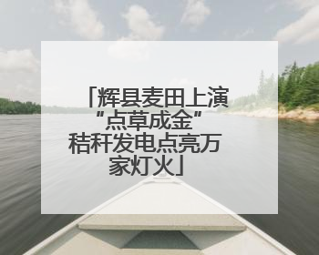 辉县麦田上演“点草成金” 秸秆发电点亮万家灯火