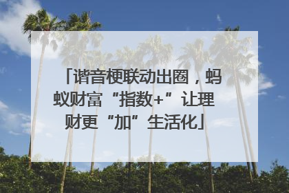 谐音梗联动出圈，蚂蚁财富“指数+”让理财更“加”生活化