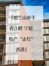 贺兰山牵手香江畔 宁夏特产“走红”香港