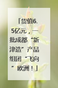 货值6.5亿元，一批成都“新津造”产品组团“飞向”欧洲！