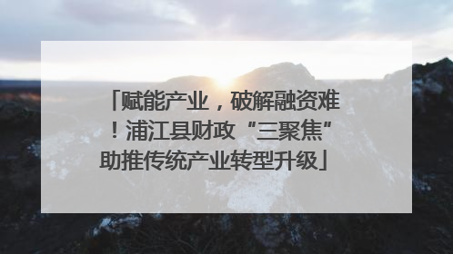 赋能产业，破解融资难！浦江县财政“三聚焦”助推传统产业转型升级