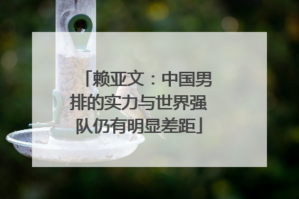 赖亚文：中国男排的实力与世界强队仍有明显差距
