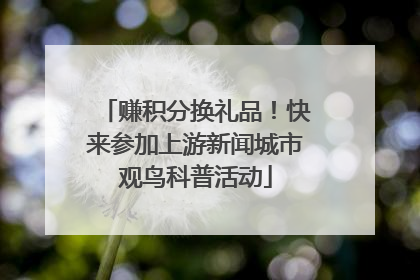 赚积分换礼品！快来参加上游新闻城市观鸟科普活动