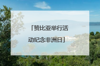 赞比亚举行活动纪念非洲日