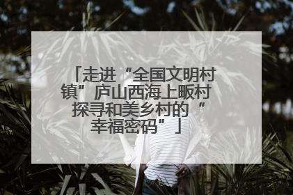 走进“全国文明村镇”庐山西海上畈村 探寻和美乡村的“幸福密码”