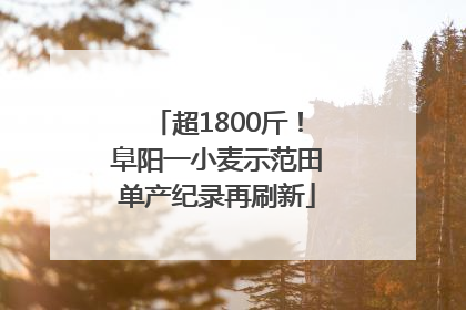 超1800斤！阜阳一小麦示范田单产纪录再刷新