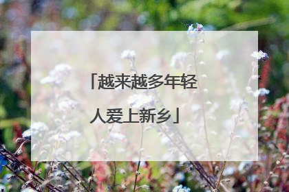 越来越多年轻人爱上新乡