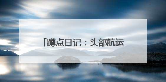 蹲点日记：头部航运企业为何聚集此地？
