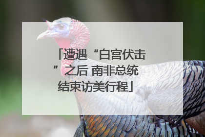 遭遇“白宫伏击”之后 南非总统结束访美行程