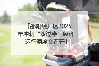 邵阳经开区2025年冲刺“双过半”经济运行调度会召开