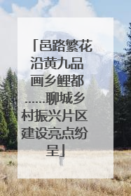 邑路繁花 沿黄九品 画乡鲤都……聊城乡村振兴片区建设亮点纷呈