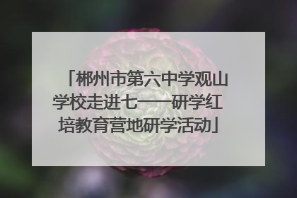 郴州市第六中学观山学校走进七一一研学红培教育营地研学活动