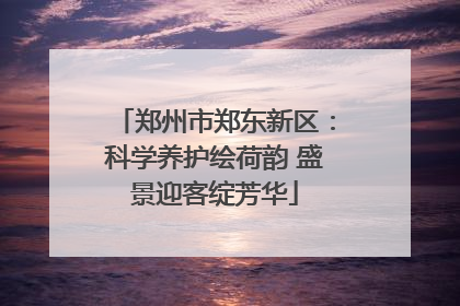 郑州市郑东新区：科学养护绘荷韵 盛景迎客绽芳华
