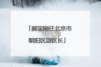 郝宝刚任北京市朝阳区副区长