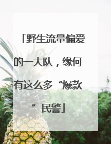野生流量偏爱的一大队，缘何有这么多“爆款”民警