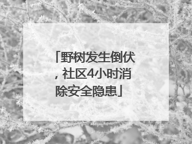 野树发生倒伏，社区4小时消除安全隐患