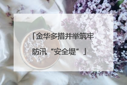 金华多措并举筑牢防汛“安全堤”
