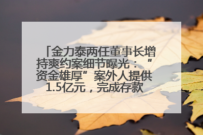 金力泰两任董事长增持爽约案细节曝光：“资金雄厚”案外人提供1.5亿元，完成存款证明后当日转回