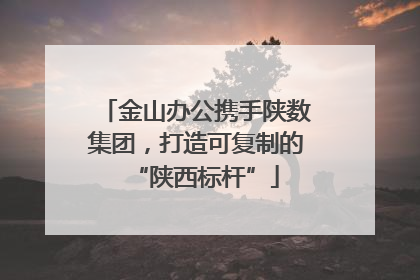 金山办公携手陕数集团，打造可复制的“陕西标杆”