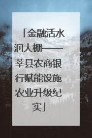 金融活水润大棚——莘县农商银行赋能设施农业升级纪实