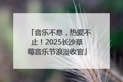音乐不息，热爱不止！2025长沙草莓音乐节浪漫收官